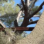 La Cigaliere Apartmán