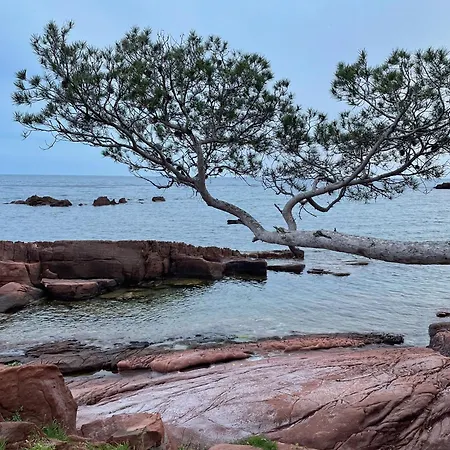 Apartmán La Cigaliere Saint-Raphaël