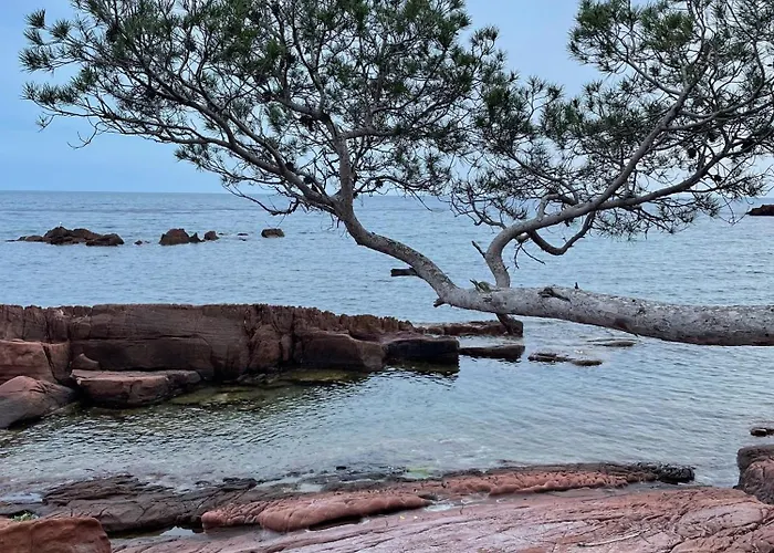 Apartman La Cigaliere Saint-Raphaël