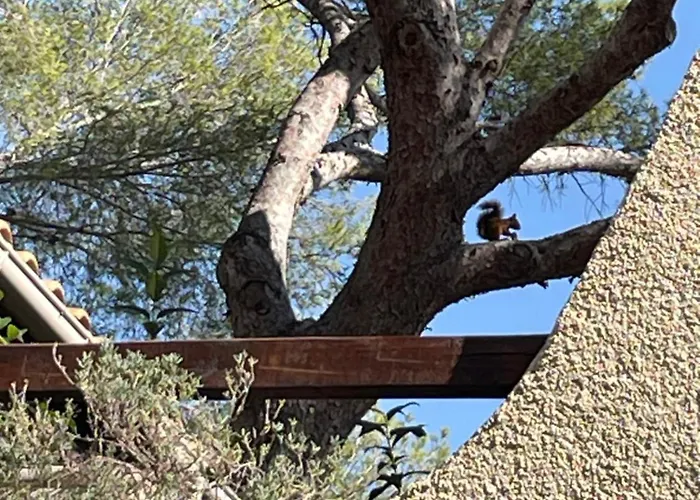 La Cigaliere Apartman