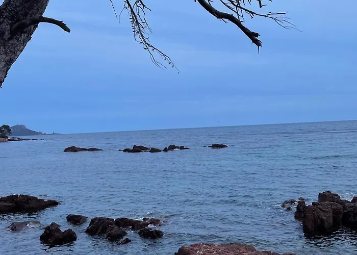 La Cigaliere *